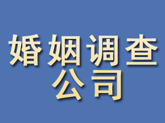 托里婚姻调查公司